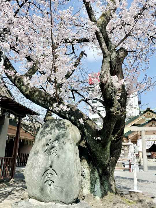 ④桜宮神社で見つけた桜宮の石碑