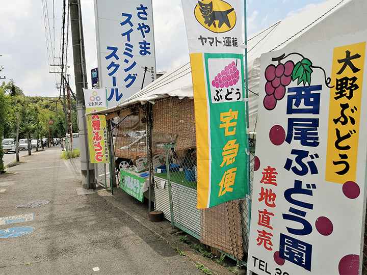 ⑪夏の街角の風物詩・大野ブドウの直売店の一軒、西尾さんのブドウ店