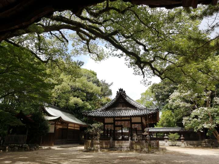 ②伊居太神社の境内は森の中にある